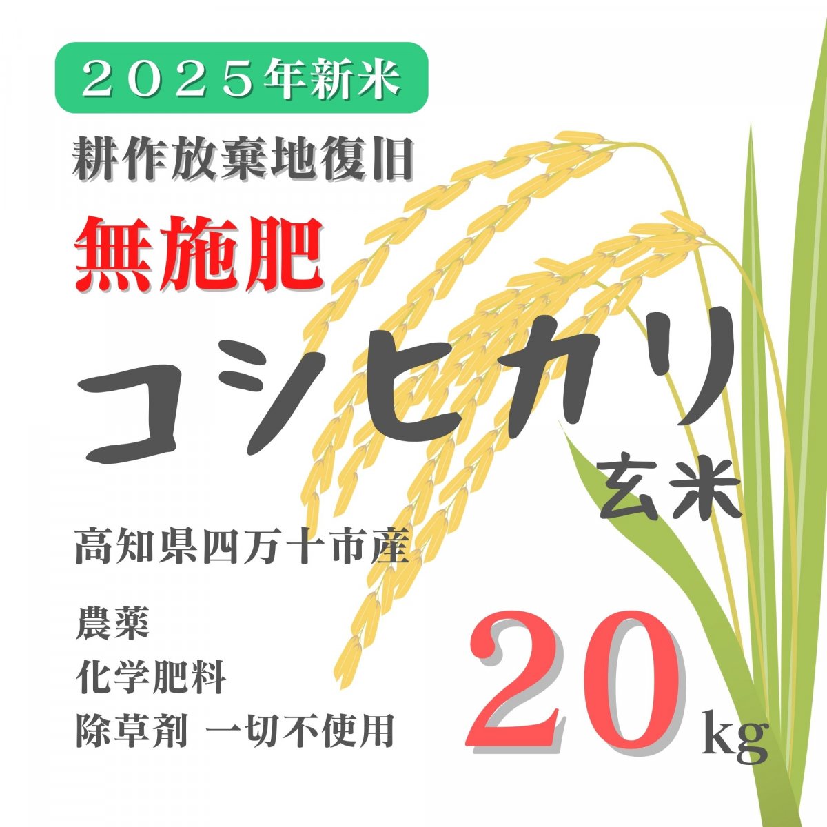 【高ポイント】★無施肥 耕作放棄地復旧 2025新米 コシヒカリ玄米 20kg 農薬・化学肥料・除草剤不使用 農家直送 高知県四万十市産 蕨岡の百姓 福留壯 自然栽培