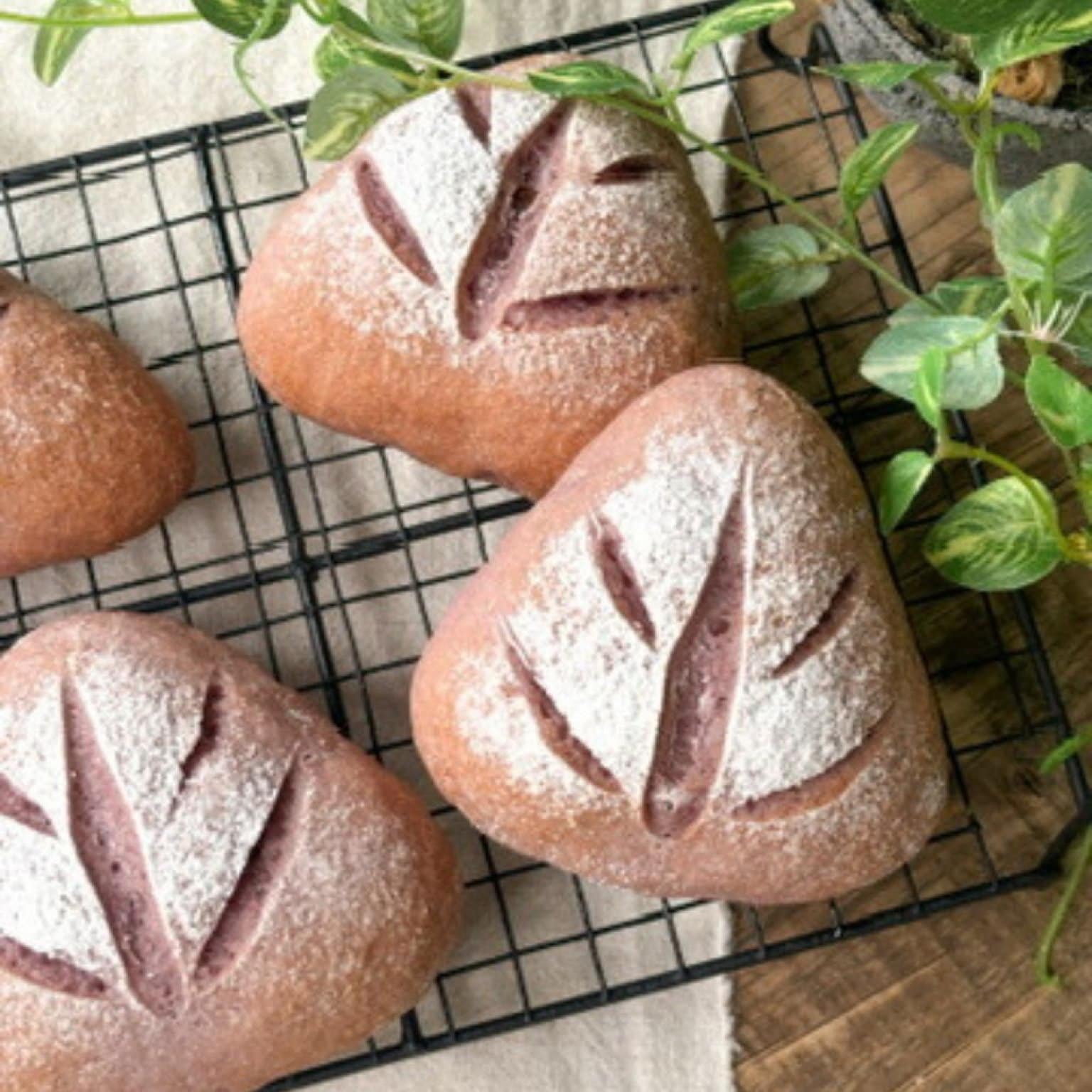 【数量限定！（S）レシピ動画セット】米粉パン・米粉おやつお得な新春福袋