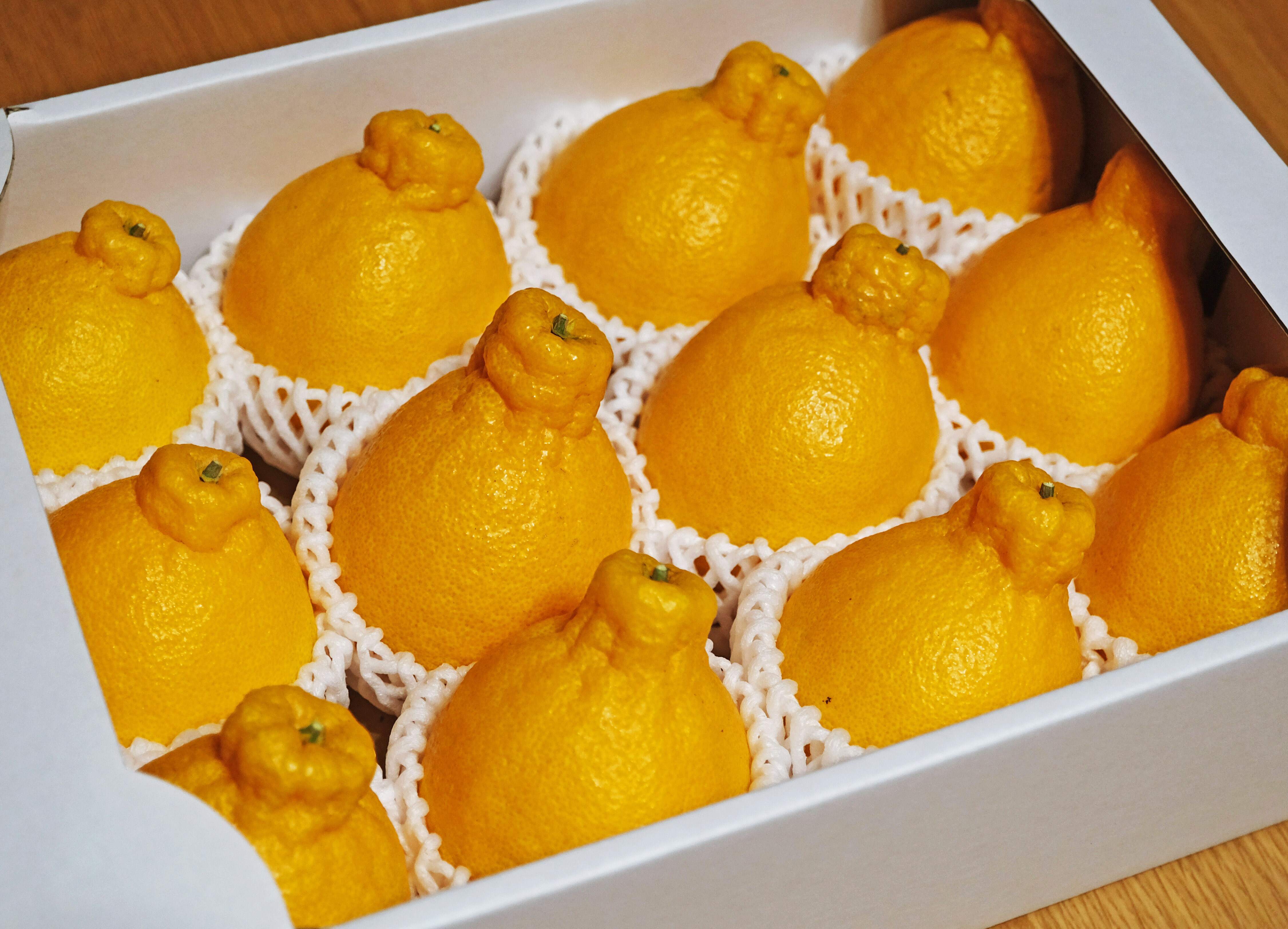 柑橘の女王】肥沃な土壌で育った 和歌山県産 不知火（民泊提供フルーツ