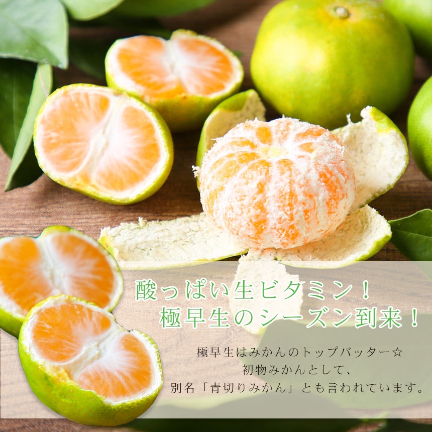 初物セール‼️極早生みかん　秀品＋家庭用込み　小粒っこ8kg 初物セール‼️極早生みかん 秀品＋家庭用込み 小粒っこ8kg