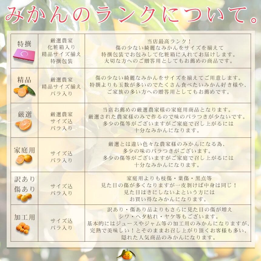 みかん 精品 吉田みかん 10kg S吉10 贈答用 精品 中玉 L