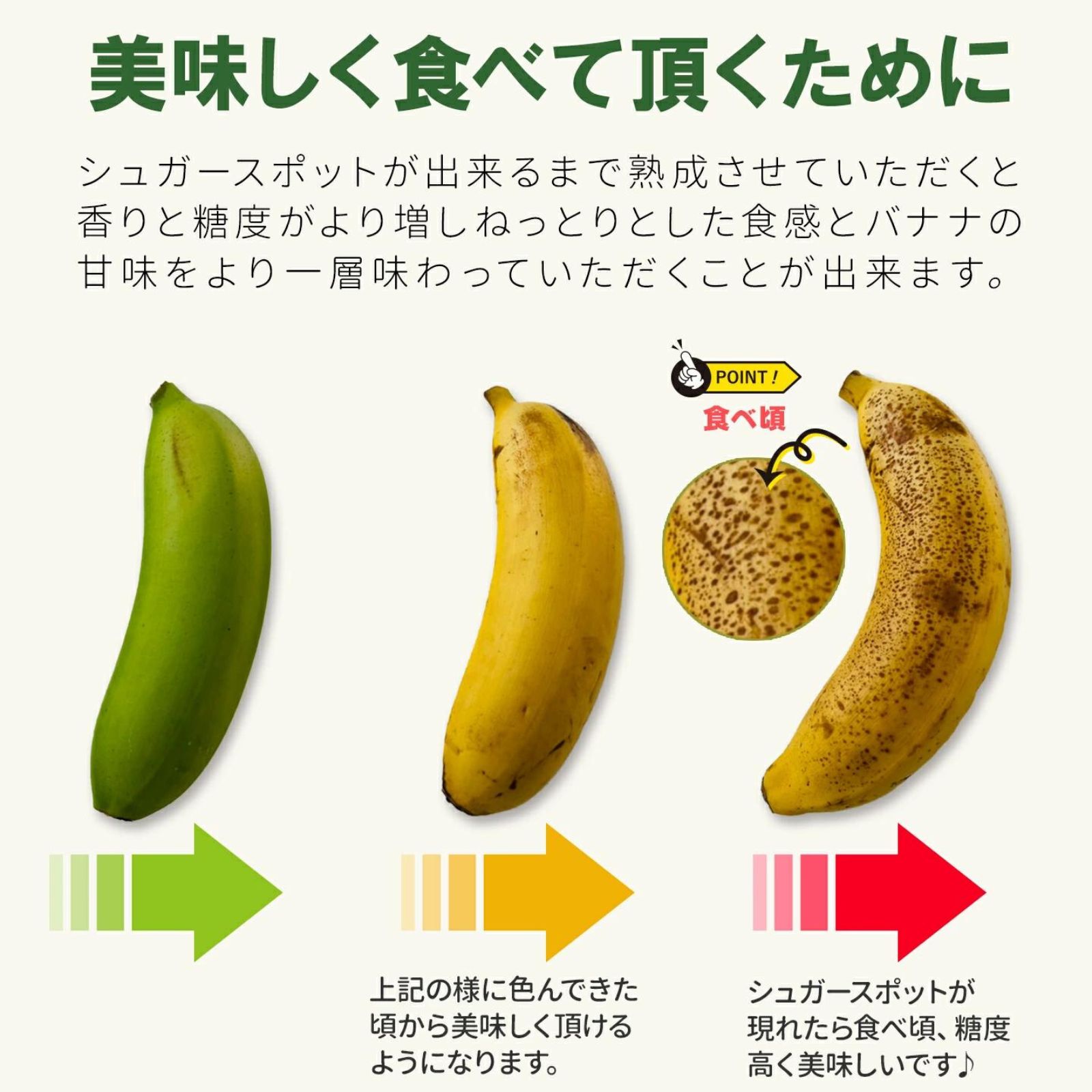 ギフト用】Mサイズ5本セット 甘さ濃厚高級バナナ！国産無農薬で皮ごと食べれます！はれのひはれバナナ通販