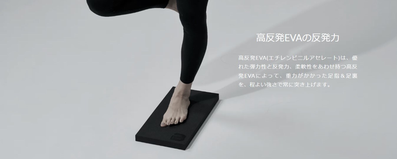 BODY METRIX FORM （大）
