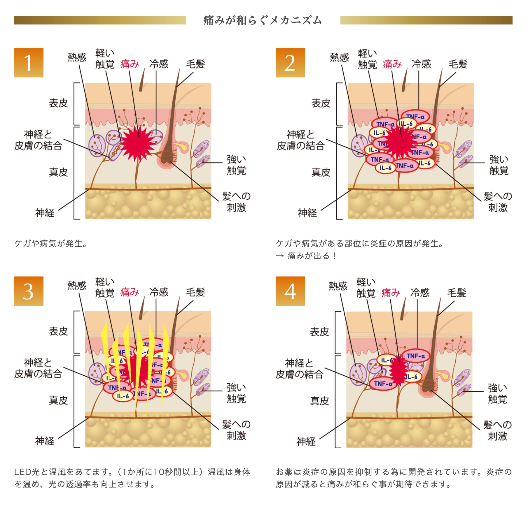 前払い銀行振込み専用LEDトライザー氣望（KIBOU）