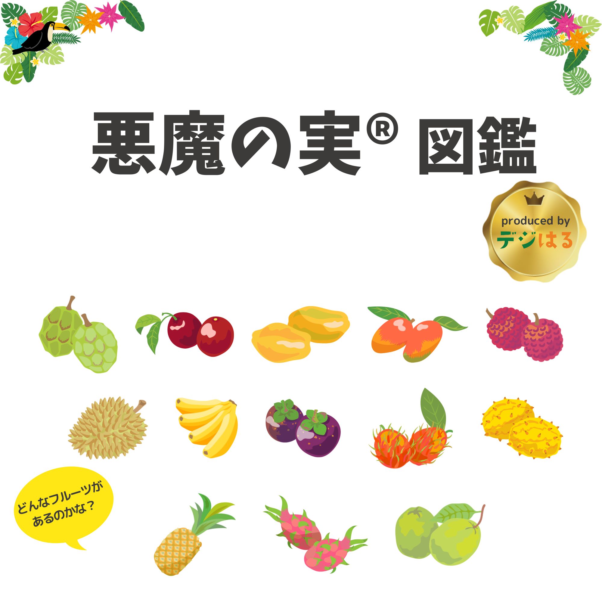 6月お届け予約】悪魔の実（沖縄トロピカルフルーツセット