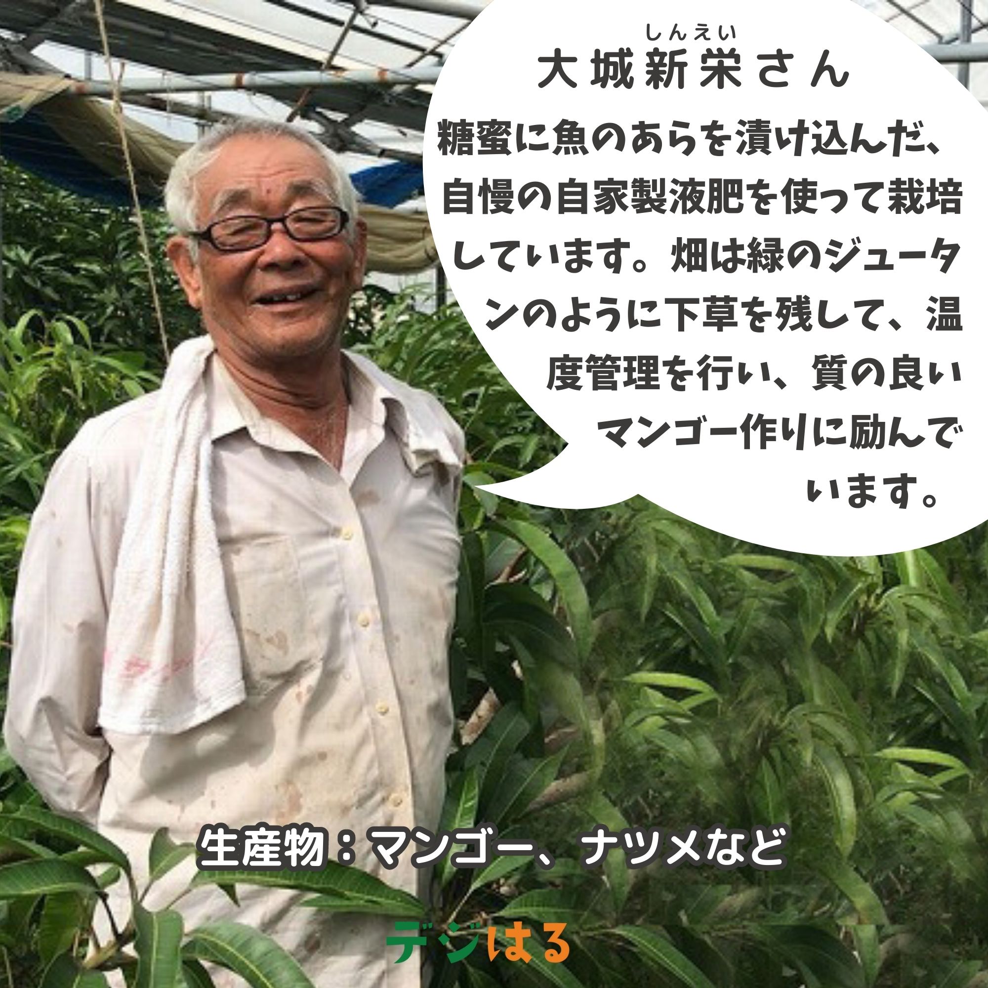 1kg】沖縄県産ぬちマンゴー こだわり栽培の最高級品｜全国送料