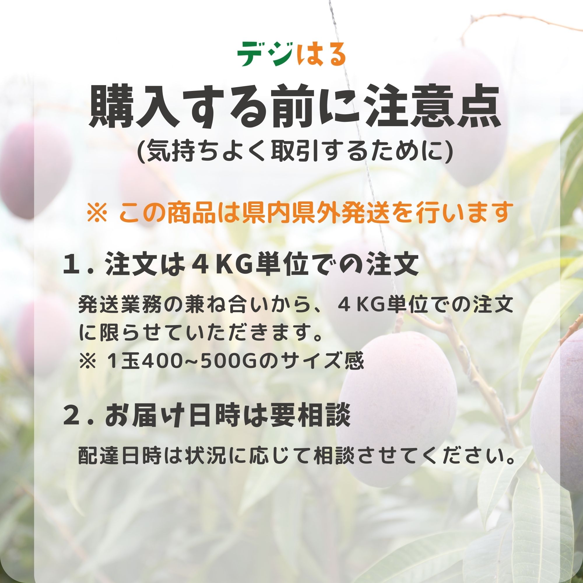 1. マンゴー 4kg 傷黒点あり Amazon.co.jp: マンゴー 沖縄 お土産 果物 フルーツ 自分用 沖縄