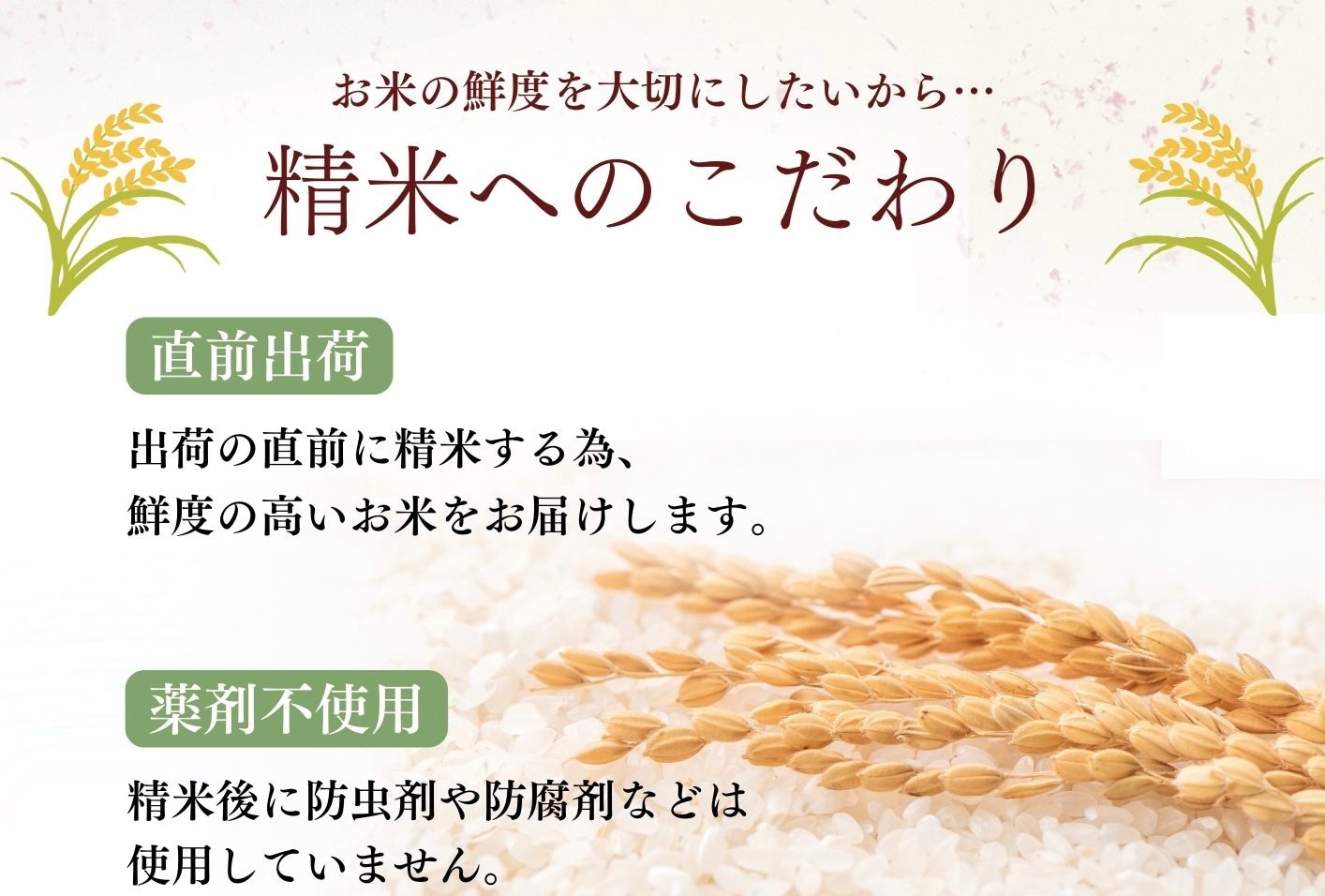 精米3Kg〜10Kg】予約限定販売/秋田県太平産あきたこまち/農家