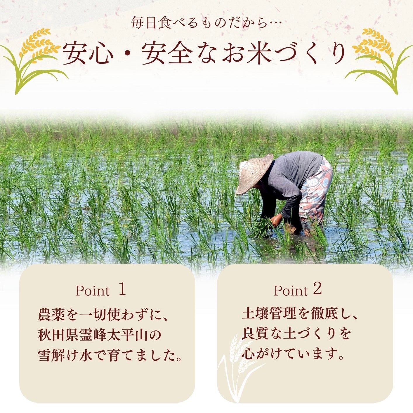 ★ちいちゃんまま様★専用【特別栽培米 朝日】20kg 精米3Kg〜10Kg】予約限定販売/秋田県太平産あきたこまち/農家