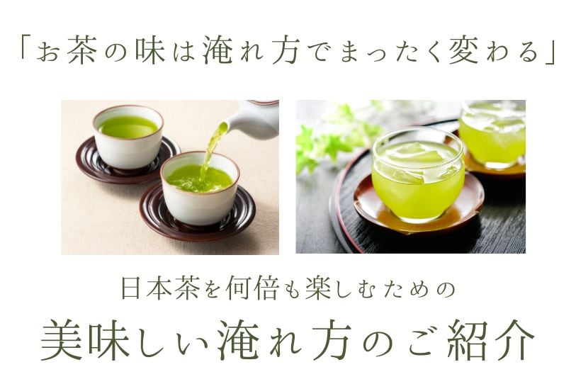 高ポイント【鹿児島 知覧茶 ギフト】高級煎茶3本セット〈翠・鸚・蒼
