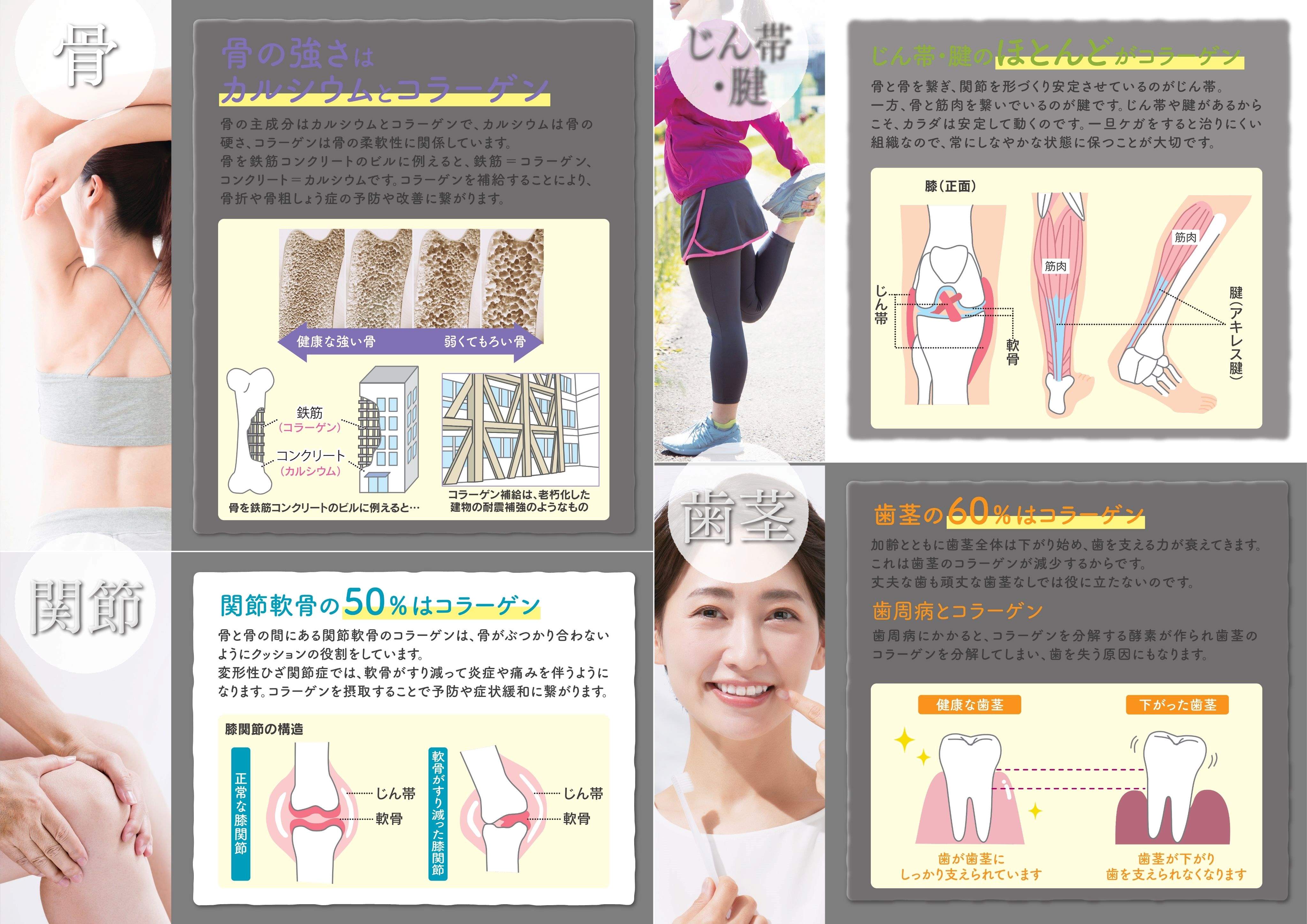エスワンエス コラーゲン 600g 2セット 楽天市場】【送料無料】エス・ワン・エス オリジナル 600g ×お