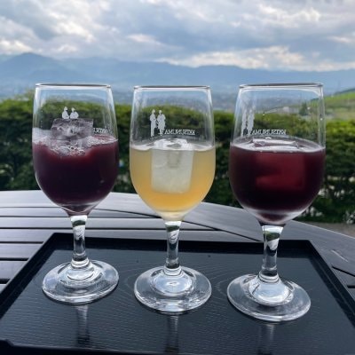 ジュース３種飲み比べセット