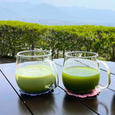 お抹茶(アイス) / 抹茶ラテ(アイス・ホット)