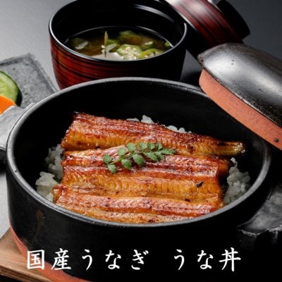 国産うなぎ　うな丼(並/特上)