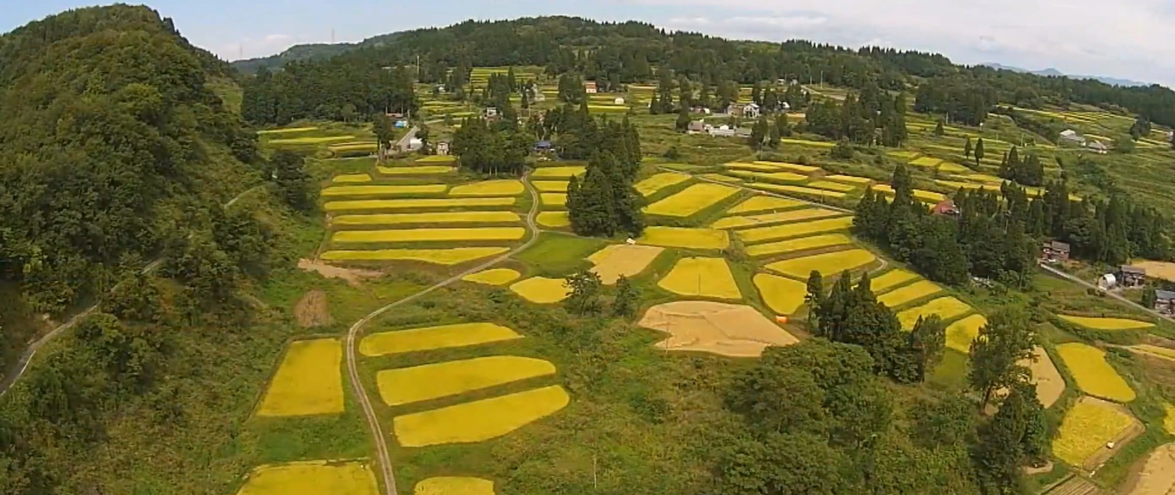 稲刈りを待つ棚田