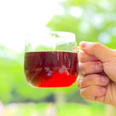 Japanese Black Tea(50g缶入) 日本生まれのオーガニック和紅茶｜極上の