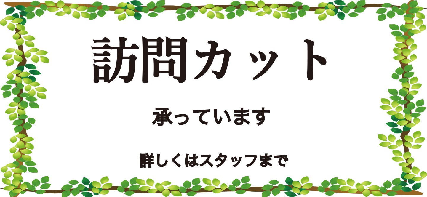 訪問カット