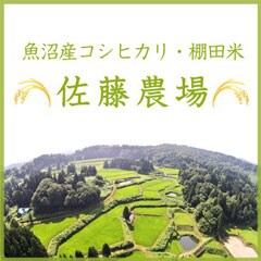 佐藤農場