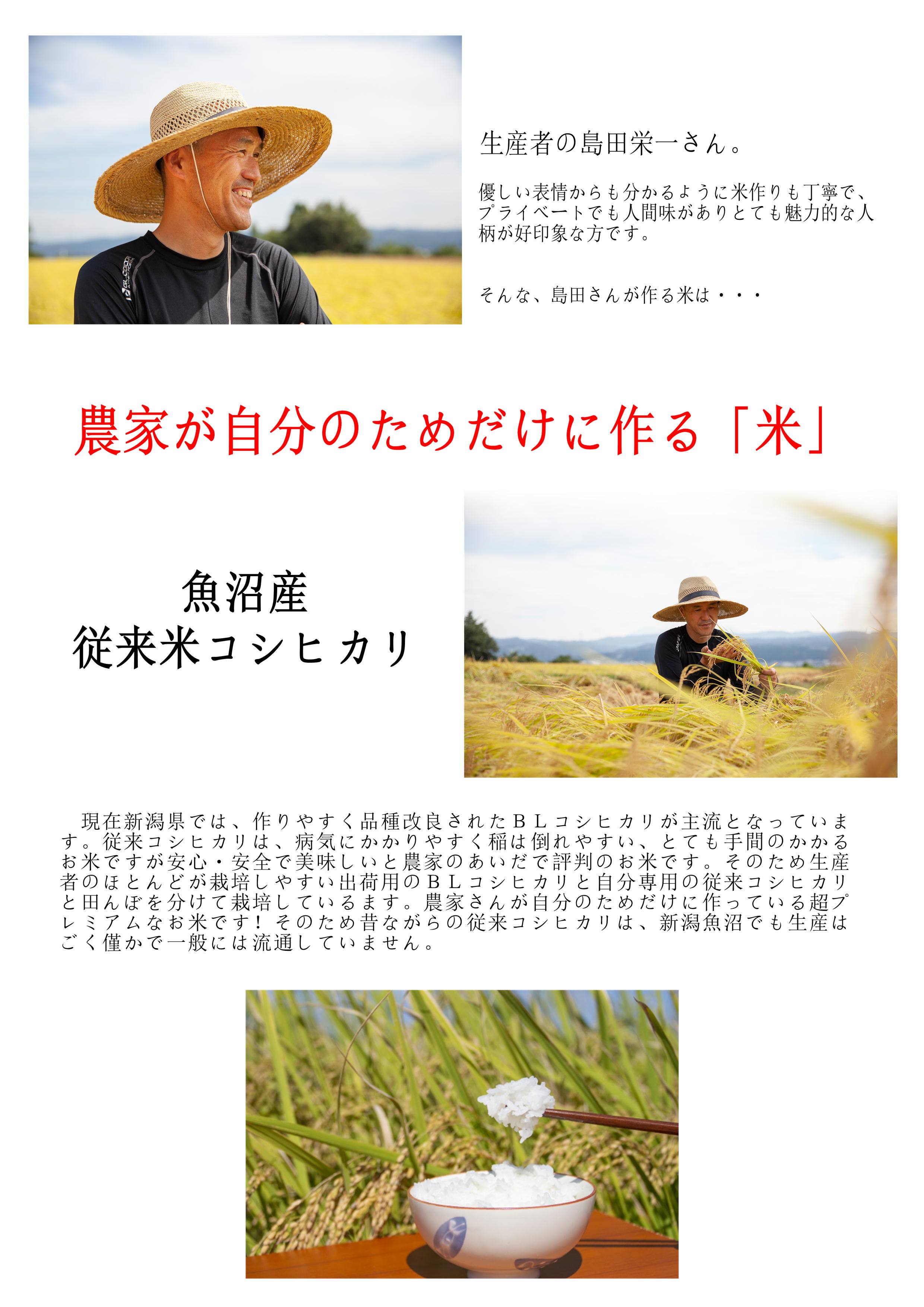 令和6年産】新潟魚沼産コシヒカリ5kg/農家が自分のためだけに作る従来米/生産者：島田栄一/越季（こしき）
