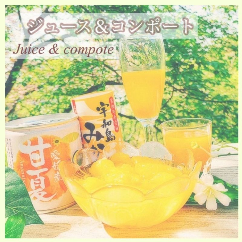 愛媛産果汁100%ジュース+コンポート3缶セット