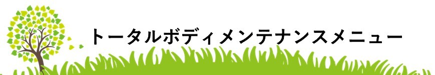 松戸市馬橋リベルハーブピーリングトータルボディメンテナンスのレジーナメニュー