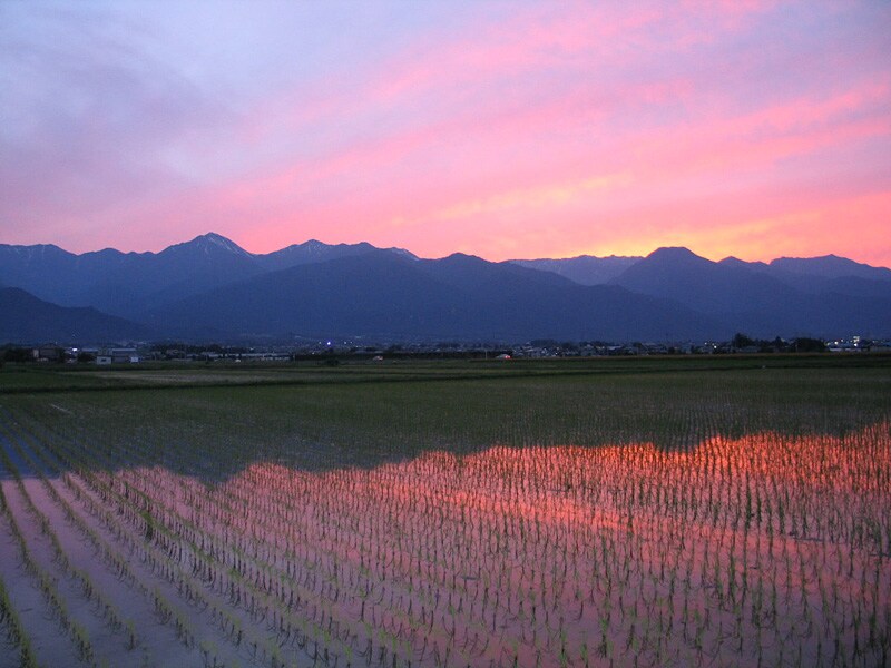 長野県　安曇野　日本酒　地酒　酔園