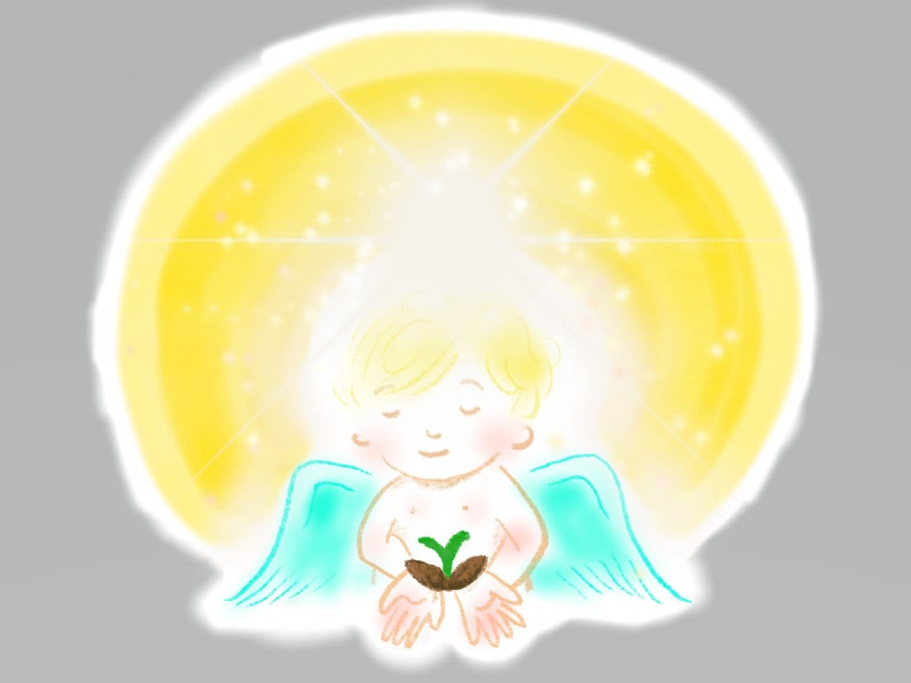 おひさまのたね