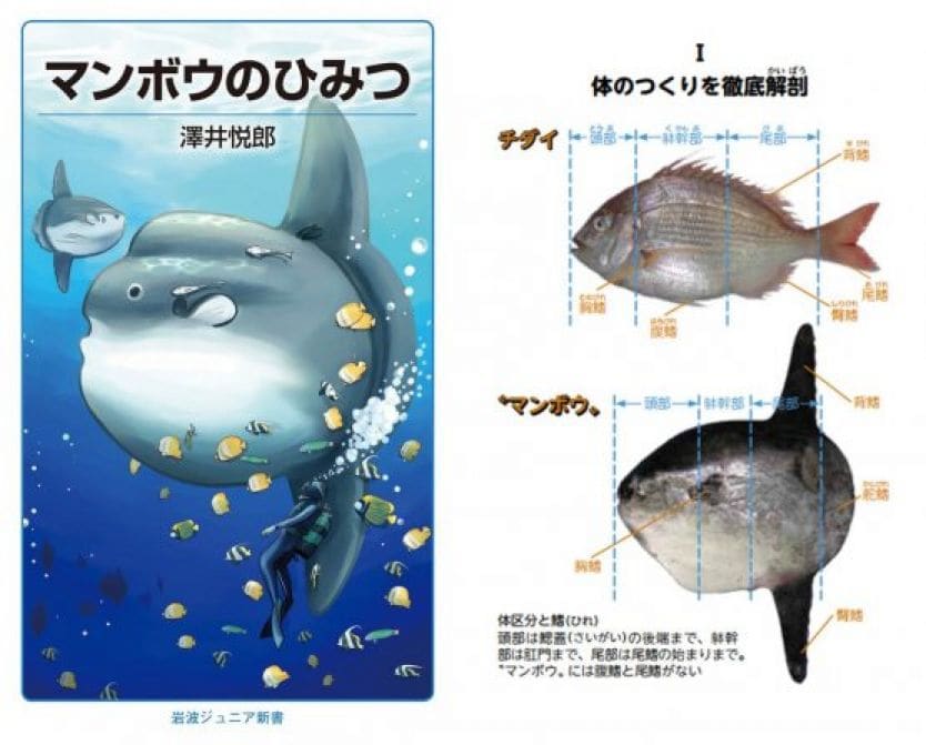 まんぼう さま 専用ページ袖⏩別生地でも可 - トップス(チュニック)