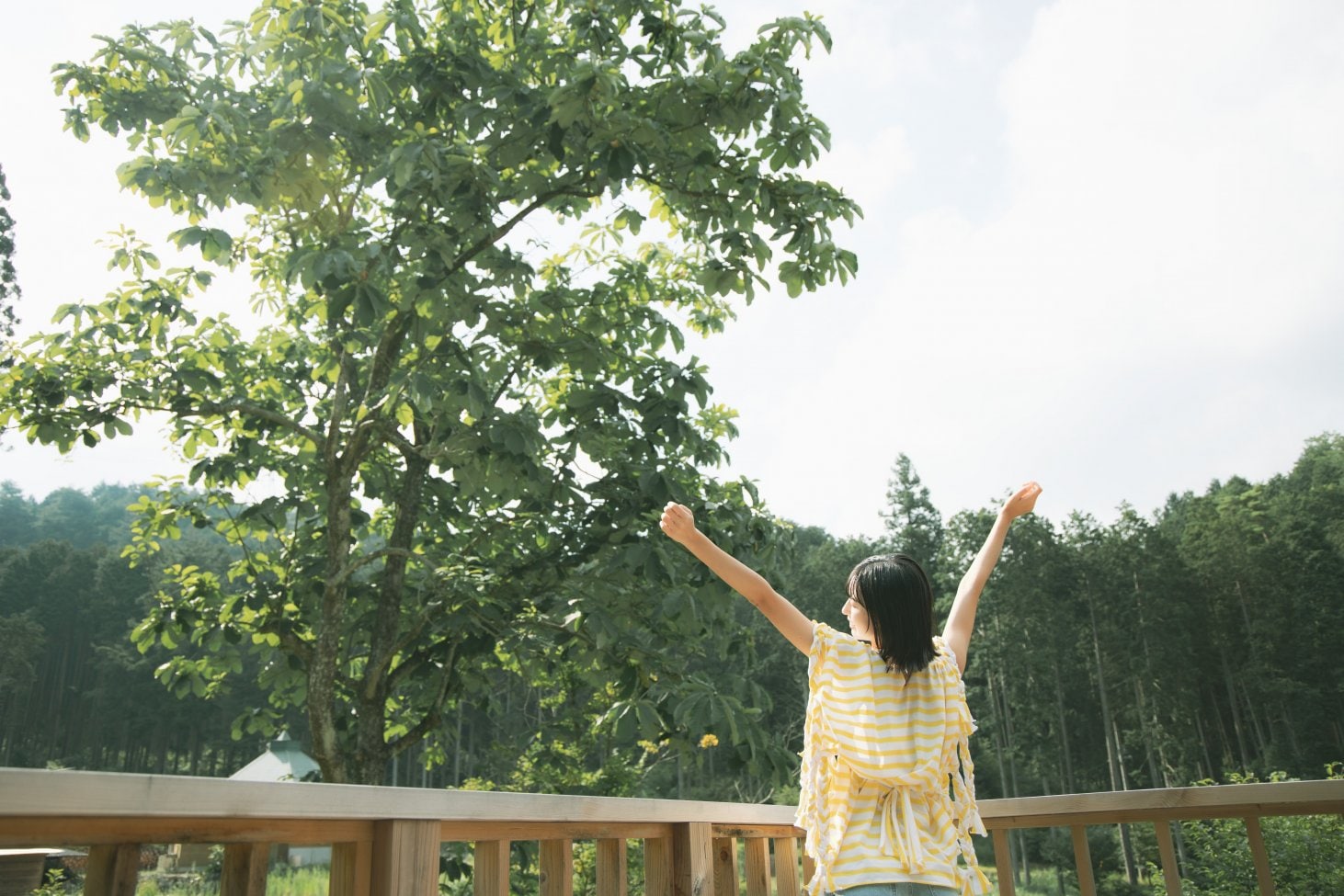 Kiidakeの森で自然の中で自分をもてなす時間