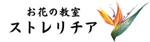 お花の教室　ストレリチア