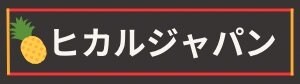 ヒカルジャパン