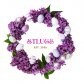 stluce〜ストルーチェ〜
