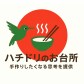 今秋スタート!お料理したくなる教室　　「ハチドリのお台所」
