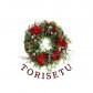 TORISETU-トリセツ-