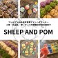 SHEEP AND POM